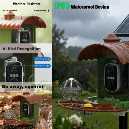 Smart Bird Feeder Camera with AI Identify Solar Powered 2K HD Video