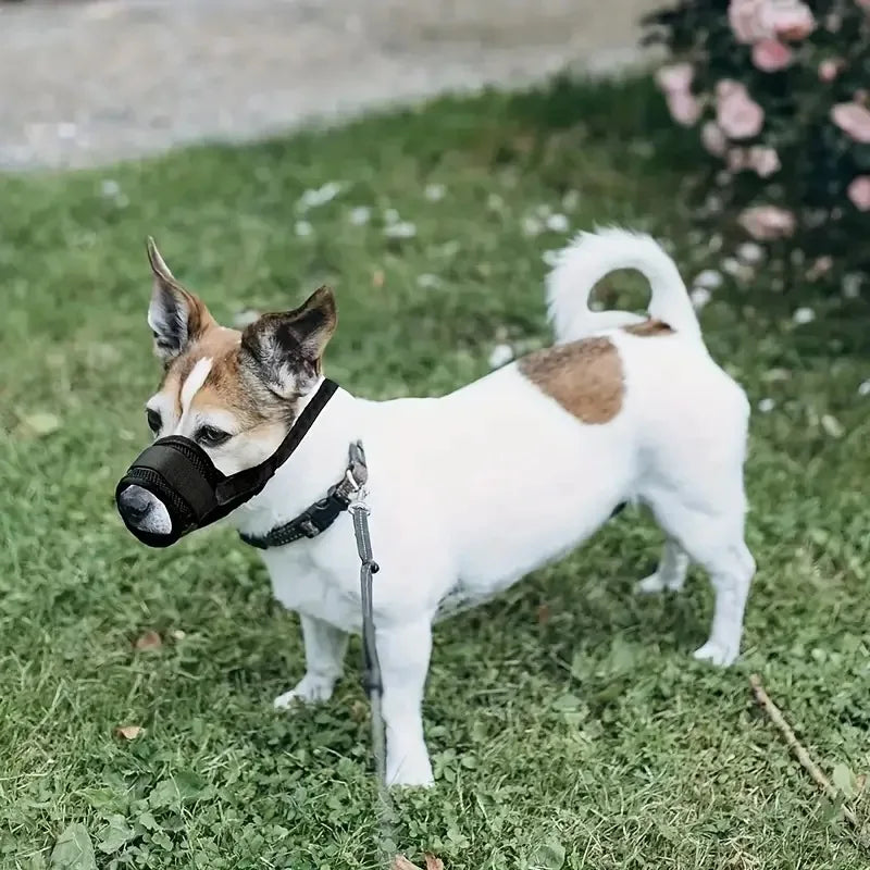 Soft Dog Muzzle Breathable Mesh Muzzle for Small Medium Large Dog Mouth Cover,