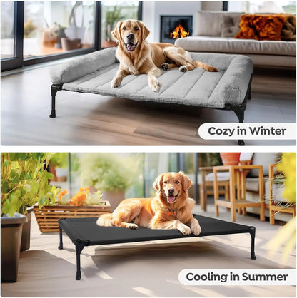 Elevated Orthopedic Dog Bed with Fluffy Bolster,