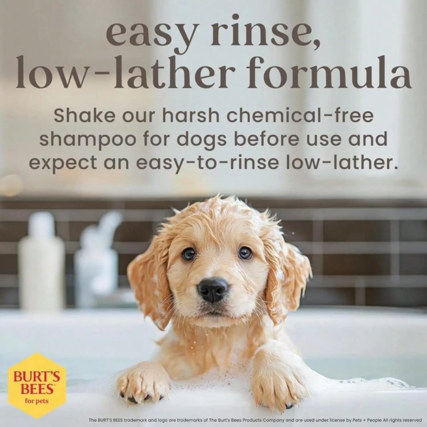Tear Free Puppy Shampoo And Conditioner