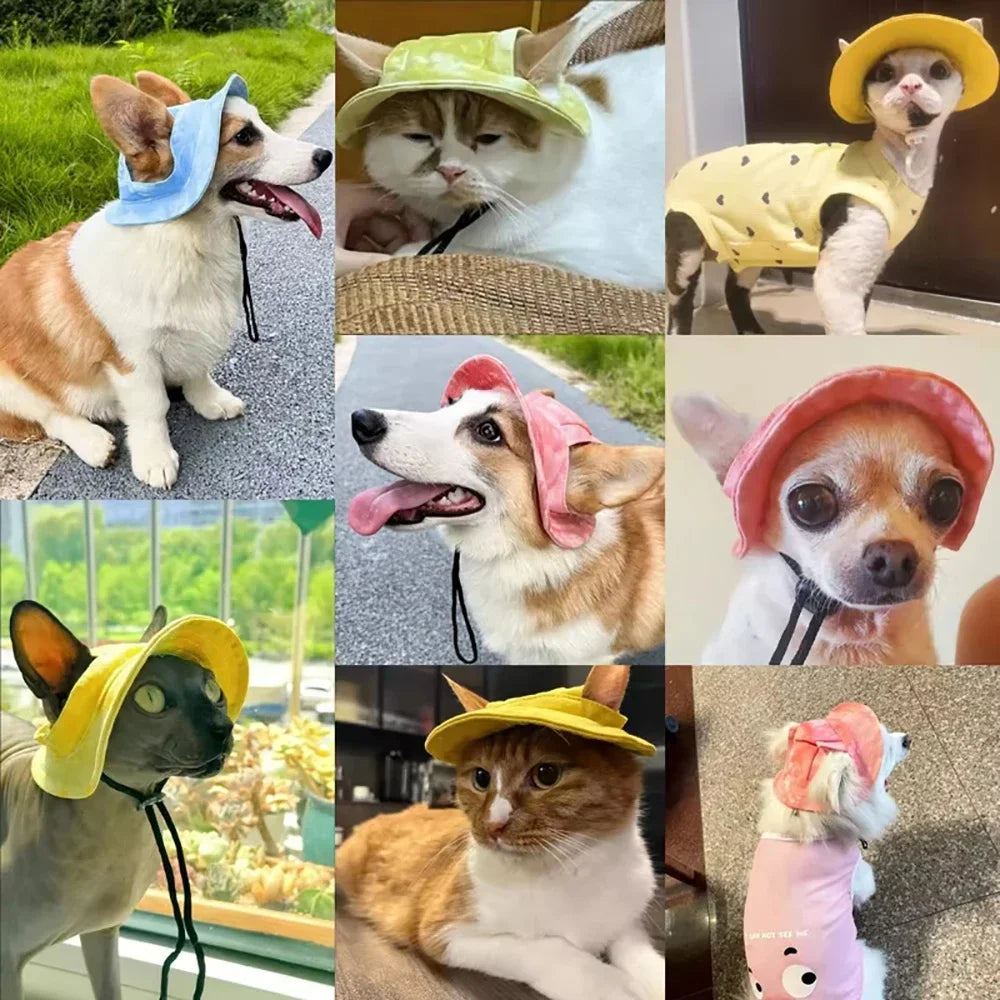 Pet Hat with Ear Holes Medium Small Dogs