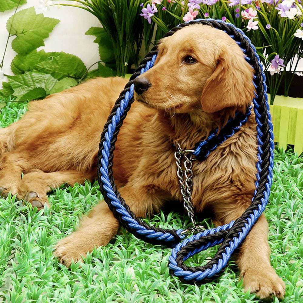 Dog Collar And Leash Set