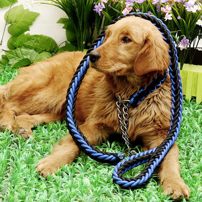Dog Collar And Leash Set