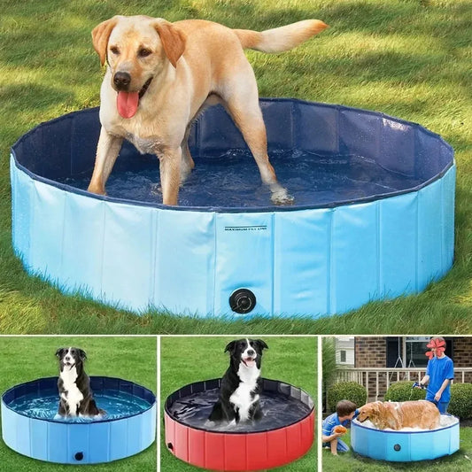 Pet Swimming Pool Large Outdoor