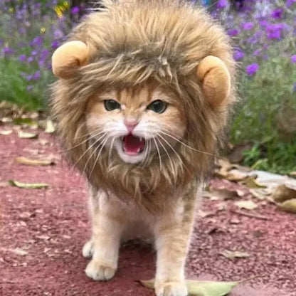 New Cute Funny Clothes Cap