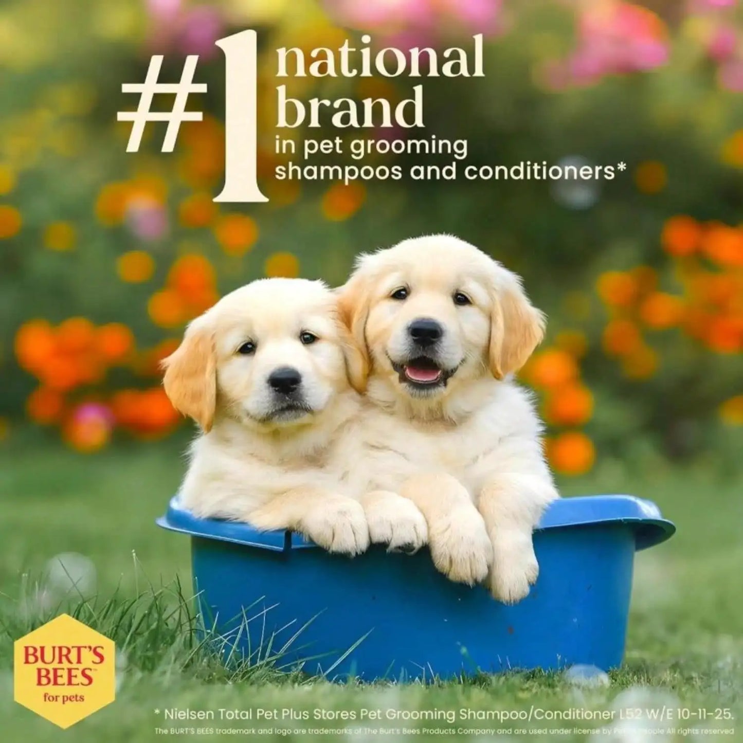 Tear Free Puppy Shampoo And Conditioner