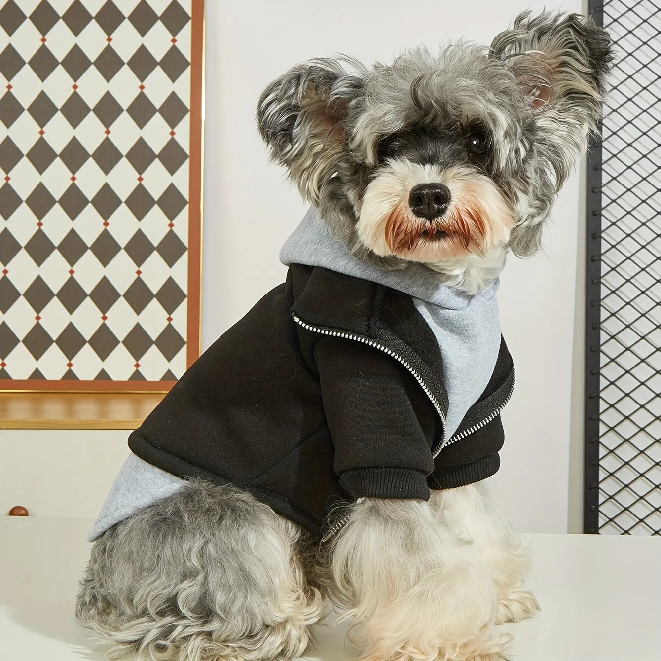 Winter Dog Clothes Comfortable Coat for Small Medium Dogs