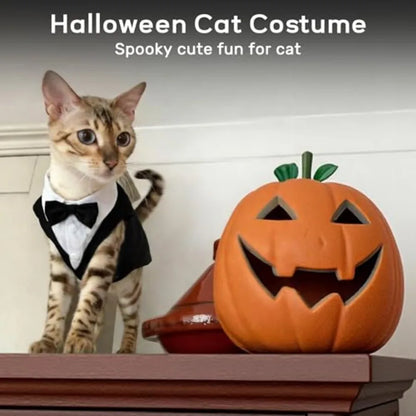 Cat Tuxedo Suit Formal Wear with Bow Tie,
